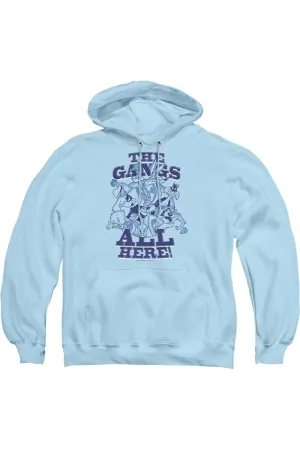 Looney Tunes Blue Gang Adult Pull Over Hoodie / Hooded Sweatshirt