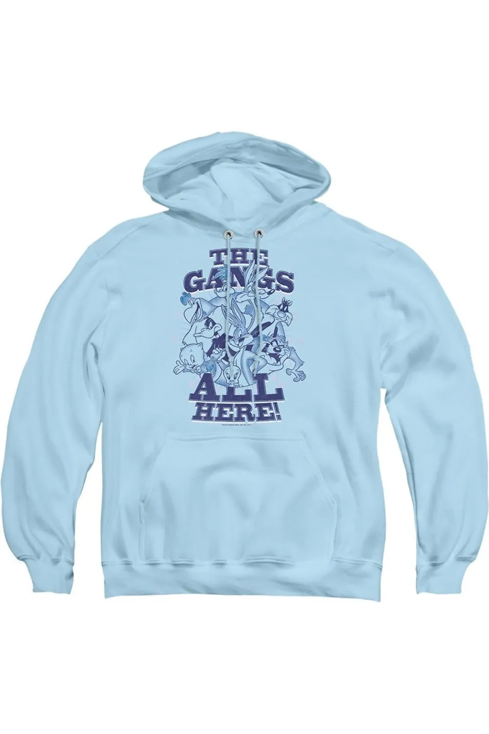 Looney Tunes Blue Gang Adult Pull Over Hoodie / Hooded Sweatshirt