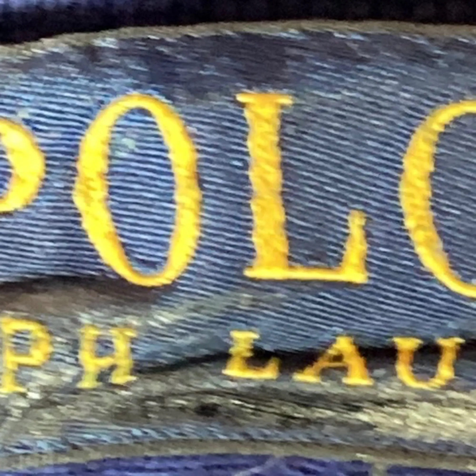 Polo Ralph Lauren Striped Polo Shirt in Blue Cotton