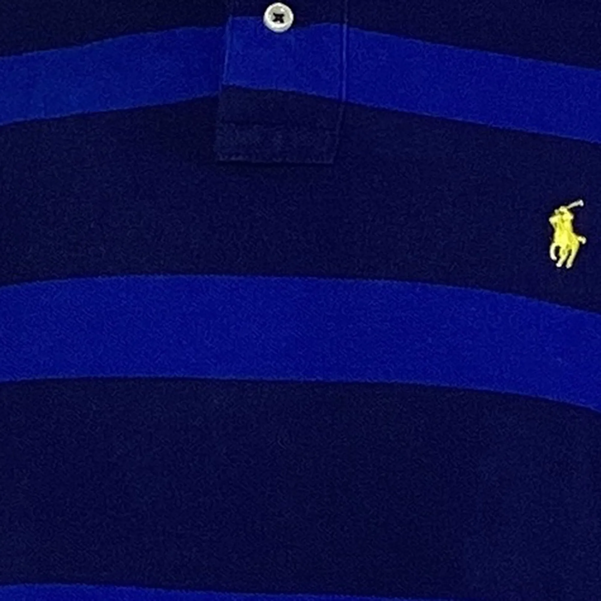 Polo Ralph Lauren Striped Polo Shirt in Blue Cotton