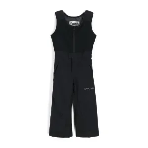 Spyder Expedition Insulated Ski Pant Black Spyder