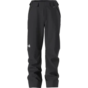The North Face Men's Dawnstrike Gore-Tex Pant